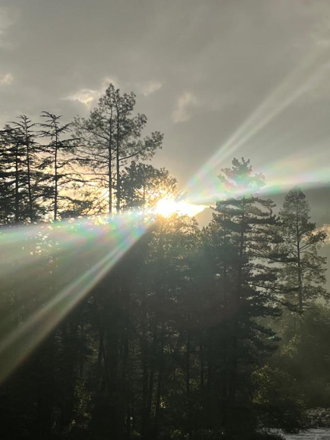 Shanti Cafe & Hostels Kasol Buitenkant foto